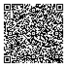 Svystonyuk Inc QR Card